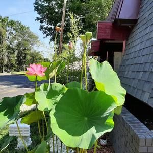 Meet your Posher, Mai